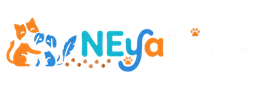 Neya Times | US Insurance & Financial Guides