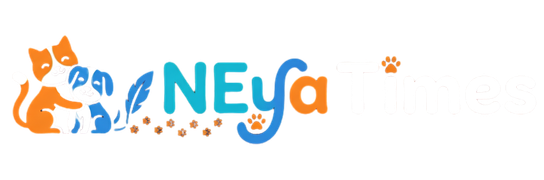 Neya Times | US Insurance & Financial Guides