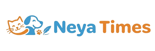 Neya Times | US Insurance & Financial Guides