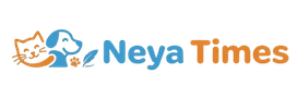 Neya Times | US Insurance & Financial Guides